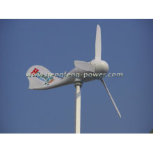 Генератор энергии ветра 300W